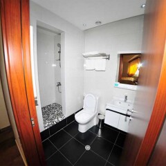 "Alpina hotel" отель ванная