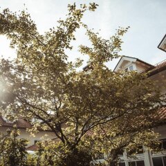 Отель Limmerhof Германия, Тауфкирхен - отзывы, цены и фото номеров - забронировать отель Limmerhof онлайн фото 2
