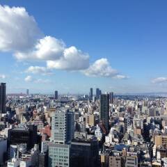 Hotel Nikko Osaka балкон