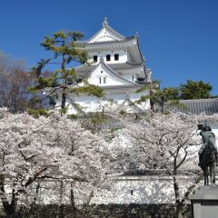 Отель Sun Gifu Hashima Хашима спортивное сооружение