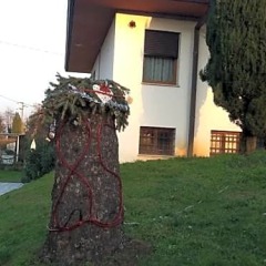 Отель Summer's House Италия, Кастельфранко - отзывы, цены и фото номеров - забронировать отель Summer's House онлайн фото 3