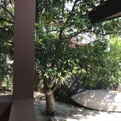 Отель Paradise Lamai Bungalow Таиланд, Самуи - отзывы, цены и фото номеров - забронировать отель Paradise Lamai Bungalow онлайн фото 4