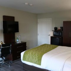 Comfort Inn in Pacheco, United States of America from 129$, photos, reviews - zenhotels.com room amenities photo 2