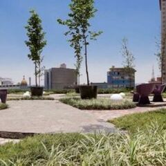 Отель Plaza Suites Mexico City Hotel Мексика, Мехико - отзывы, цены и фото номеров - забронировать отель Plaza Suites Mexico City Hotel онлайн фото 4