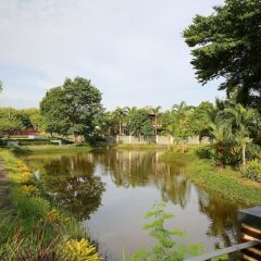 Отель 4 BR Private Villa in V49 Pattaya w/ Village Pool Паттайя приотельная территория фото 2