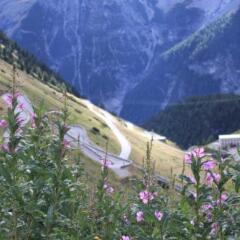 Отель Alpina Soelden Хохгургль фото 3