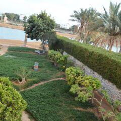 Отель El Gouna Villa 2 bedrooms with Garden фото 4