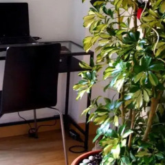 Отель XY Travellers Guest House Испания, Валенсия - 1 отзыв об отеле, цены и фото номеров - забронировать отель XY Travellers Guest House онлайн фото 3