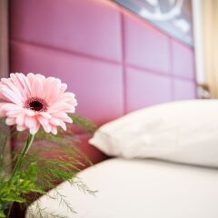Scheuble Hotel комната для гостей фото 5