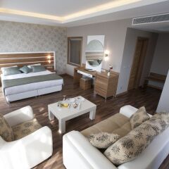 Fourway Hotel SPA & Restaurant Турция, Искендерун - отзывы, цены и фото номеров - забронировать отель Fourway Hotel SPA & Restaurant онлайн комната для гостей