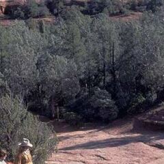 Отель Embassy Suites Flagstaff спортивное сооружение