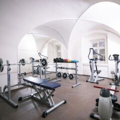 Smetana Hotel фитнесс-зал