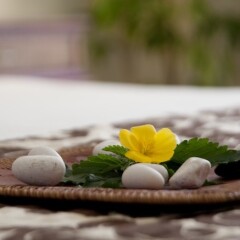 Отель Cofresi Palm Beach & Spa Resort All Inclusive в номере