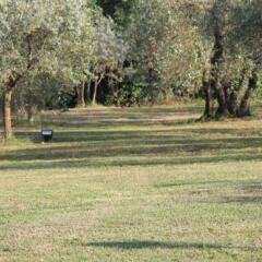 Отель Villa Poggio Ai Merli фото 6