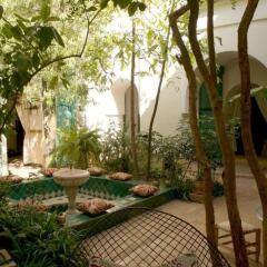 Отель Riad Dar Tarik Марокко, Марракеш - отзывы, цены и фото номеров - забронировать отель Riad Dar Tarik онлайн фото 5