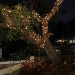 Rootsvilla Hostel Goa Гоа вид на фасад