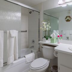 Отель Stay Together Suites 1BD1BA Apartment США, Лас-Вегас - отзывы, цены и фото номеров - забронировать отель Stay Together Suites 1BD1BA Apartment онлайн ванная