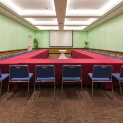 Отель Holiday Inn Mexico Coyoacan Мехико фото 13