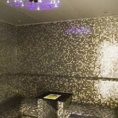 Отель Holiday Inn London - Kensington Лондон сауна