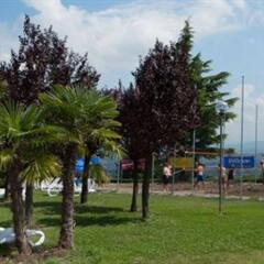 Hotel Centro Turistico Gardesano детские мероприятия