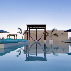 Отель The Palm at Playa пляж