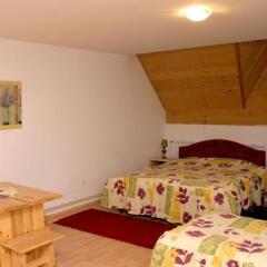 Guest House Villa Radigost in Kopaonik, Serbia from 70$, photos, reviews - zenhotels.com guestroom photo 5