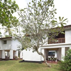 Отель Palm Beach Inn and Sea Shells Cabanas Шри-Ланка, Бентота - отзывы, цены и фото номеров - забронировать отель Palm Beach Inn and Sea Shells Cabanas онлайн фото 10