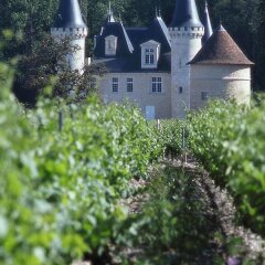 Отель Ibis Saint Emilion Франция, Сент-Эмильон - отзывы, цены и фото номеров - забронировать отель Ibis Saint Emilion онлайн фото 4