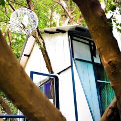 Отель Dao Anh Khanh Treehouse Ханой бассейн