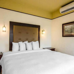 Hotel Seville, an Ascend Hotel Collection Member комната для гостей фото 4