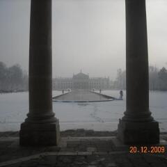 Отель Villa Alighieri Стра приотельная территория фото 2