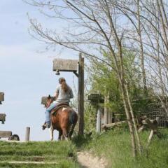Отель Cowboys Guest Ranch Вогера с домашними животными