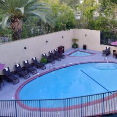 Отель Best Western Hollywood Plaza Inn с домашними животными