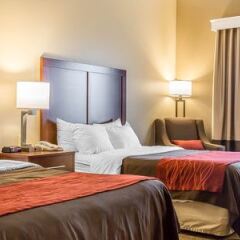 Отель Comfort Inn с домашними животными