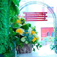 ZO Brother Halong Hostel детские мероприятия