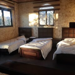 Отель Petra Bedouin House Иордания, Вади-Муса - отзывы, цены и фото номеров - забронировать отель Petra Bedouin House онлайн комната для гостей фото 5