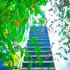 Отель swelanka residence Шри-Ланка, Бентота - отзывы, цены и фото номеров - забронировать отель swelanka residence онлайн фото 3