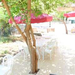 Kemer Park Hotel пляж