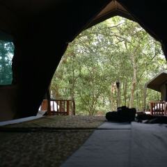 Отель Mahoora Tented Safari Camp - Kumana Шри-Ланка, Яла - отзывы, цены и фото номеров - забронировать отель Mahoora Tented Safari Camp - Kumana онлайн фото 2