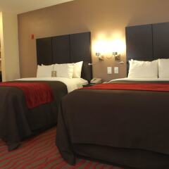 Отель Comfort Inn Los Angeles near Hollywood США, Лос-Анджелес - отзывы, цены и фото номеров - забронировать отель Comfort Inn Los Angeles near Hollywood онлайн комната для гостей фото 3