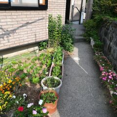 Отель Hasuwa Inn Хидзи парковка