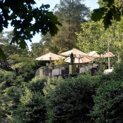 Отель Sorell Aparthotel Rigiblick Цюрих фото 7