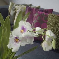 Friday Hotel фото 3