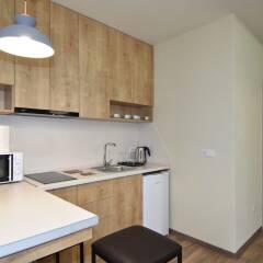 Апартаменты Gallery Apartment A в номере фото 2