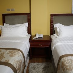 Blue Nest Hotel in Addis Ababa, Ethiopia from 147$, photos, reviews - zenhotels.com guestroom