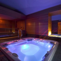 Отель Best Western Hotel Genio Италия, Турин - 1 отзыв об отеле, цены и фото номеров - забронировать отель Best Western Hotel Genio онлайн бассейн фото 3