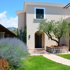 Отель Collina Degli Ulivi B&B Итри фото 2