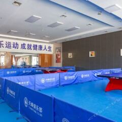 Tianfeng International Hotel спортивное сооружение