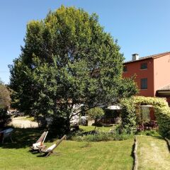 Отель B&b Alla Rotonda Vicenza Италия, Виченца - отзывы, цены и фото номеров - забронировать отель B&b Alla Rotonda Vicenza онлайн с домашними животными