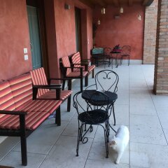 Отель Agriturismo Corte Del Brenta Италия, Лимена - отзывы, цены и фото номеров - забронировать отель Agriturismo Corte Del Brenta онлайн фото 4